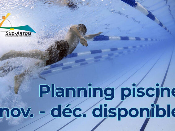 miniature planning piscine décembre 2021